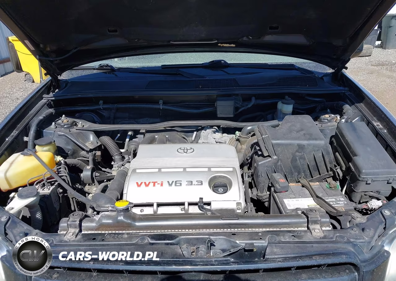 2004 Toyota Highlander V6 VIN:JTEGP21A140034821 - 10