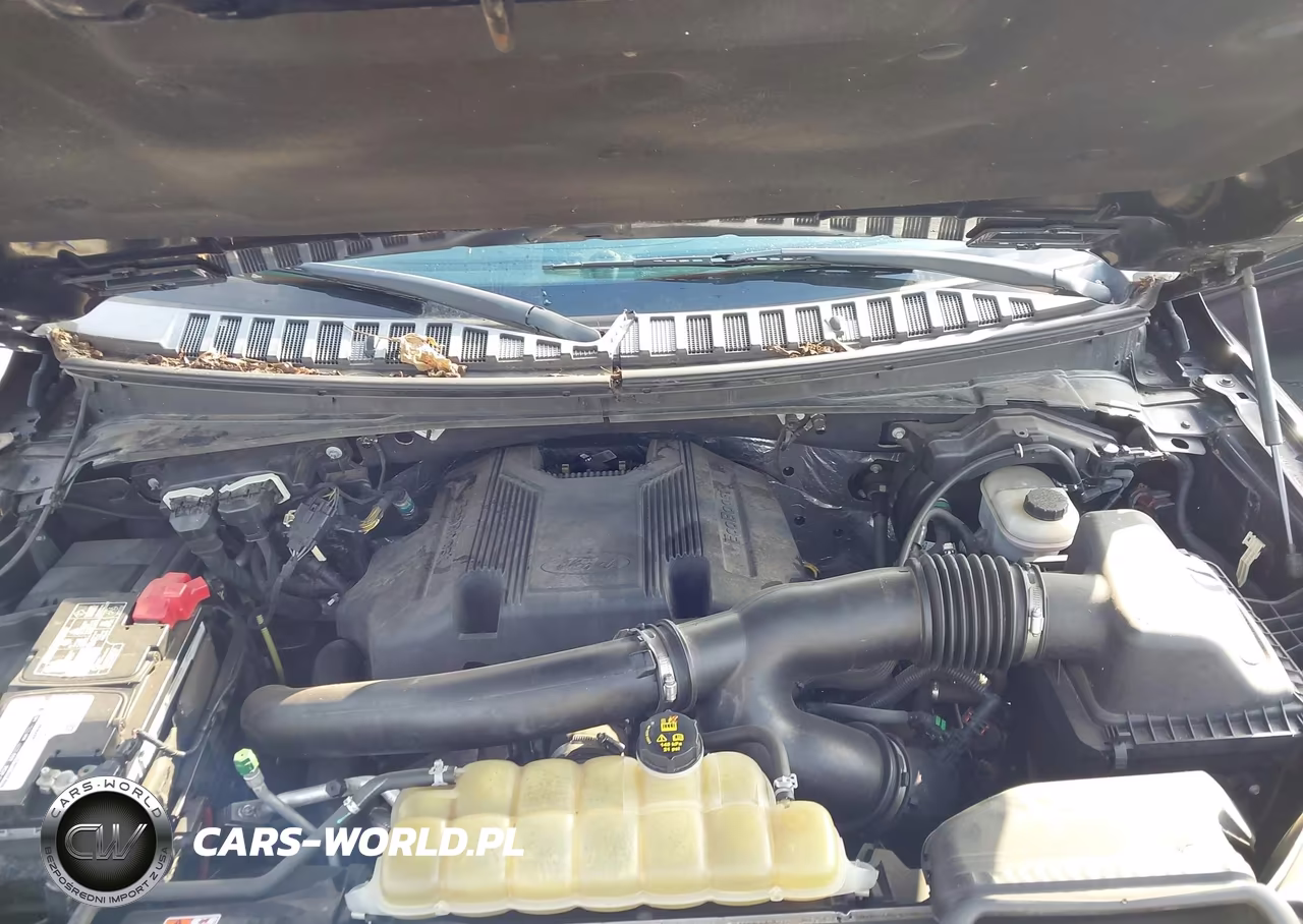 2018 Ford Expedition Limited VIN:1FMJU2AT7JEA65005 - 10