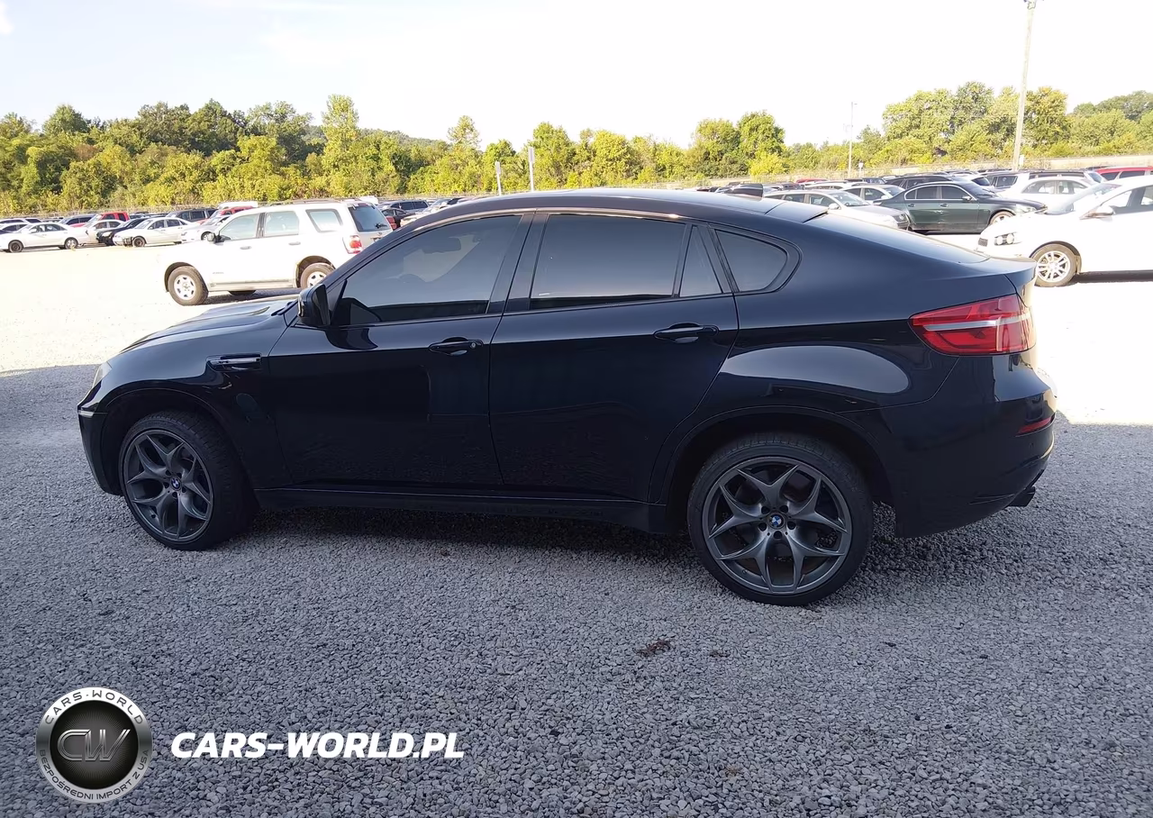2013 BMW X6 M VIN:5YMGZ0C51DLL29944 - 14