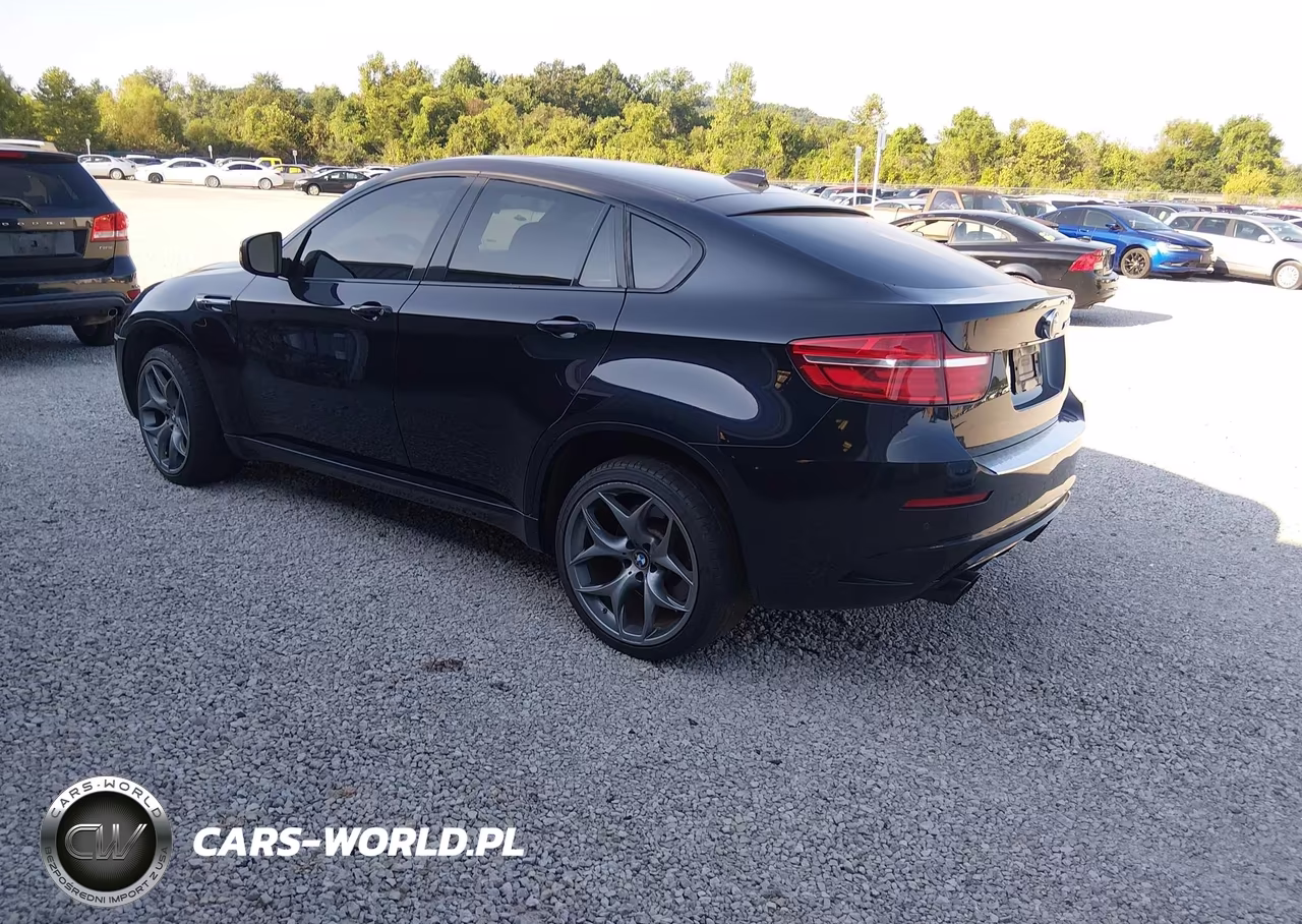 2013 BMW X6 M VIN:5YMGZ0C51DLL29944 - 3