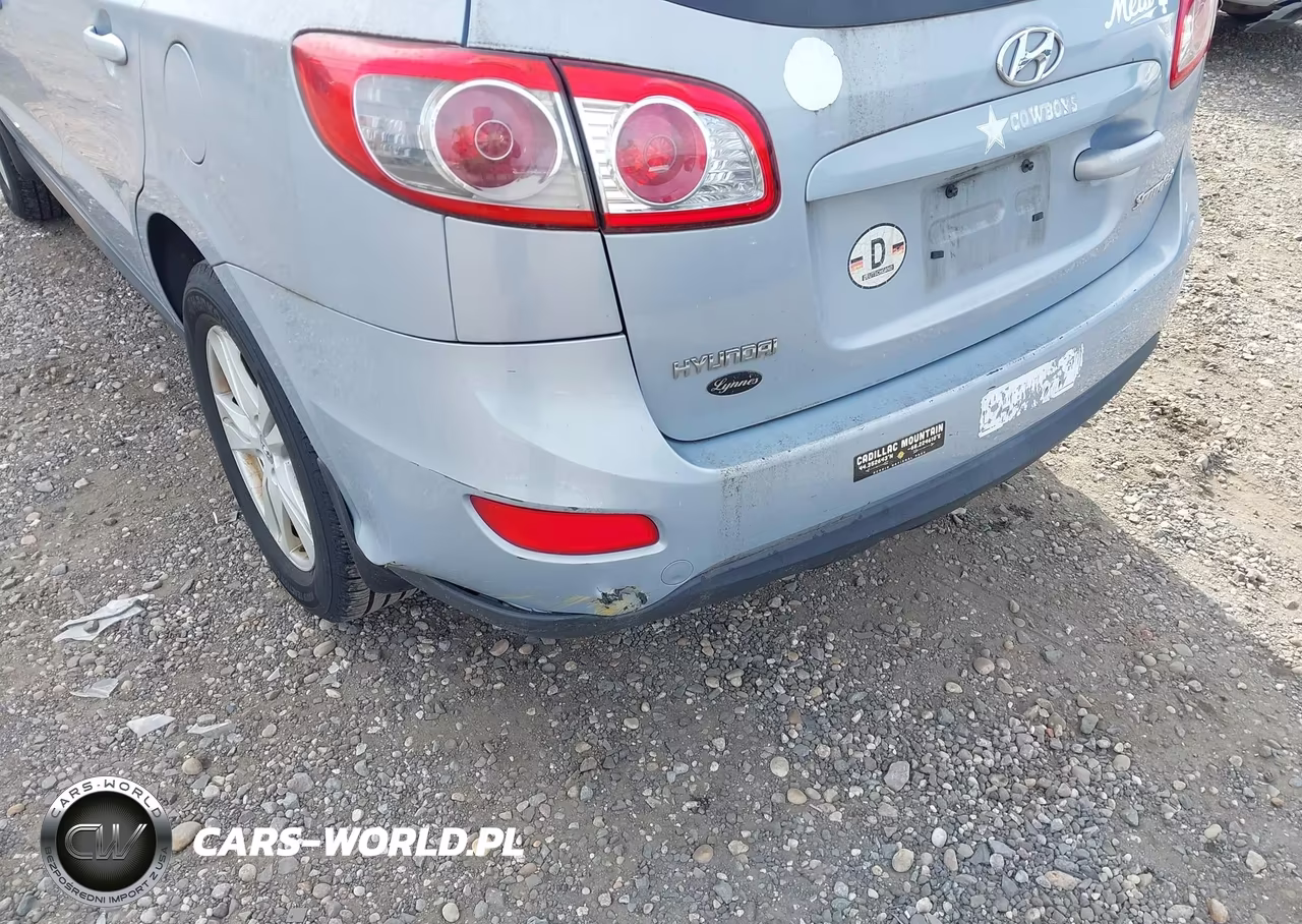 2010 Hyundai Santa Fe Se VIN:5NMSH4AG2AH408893 - 6