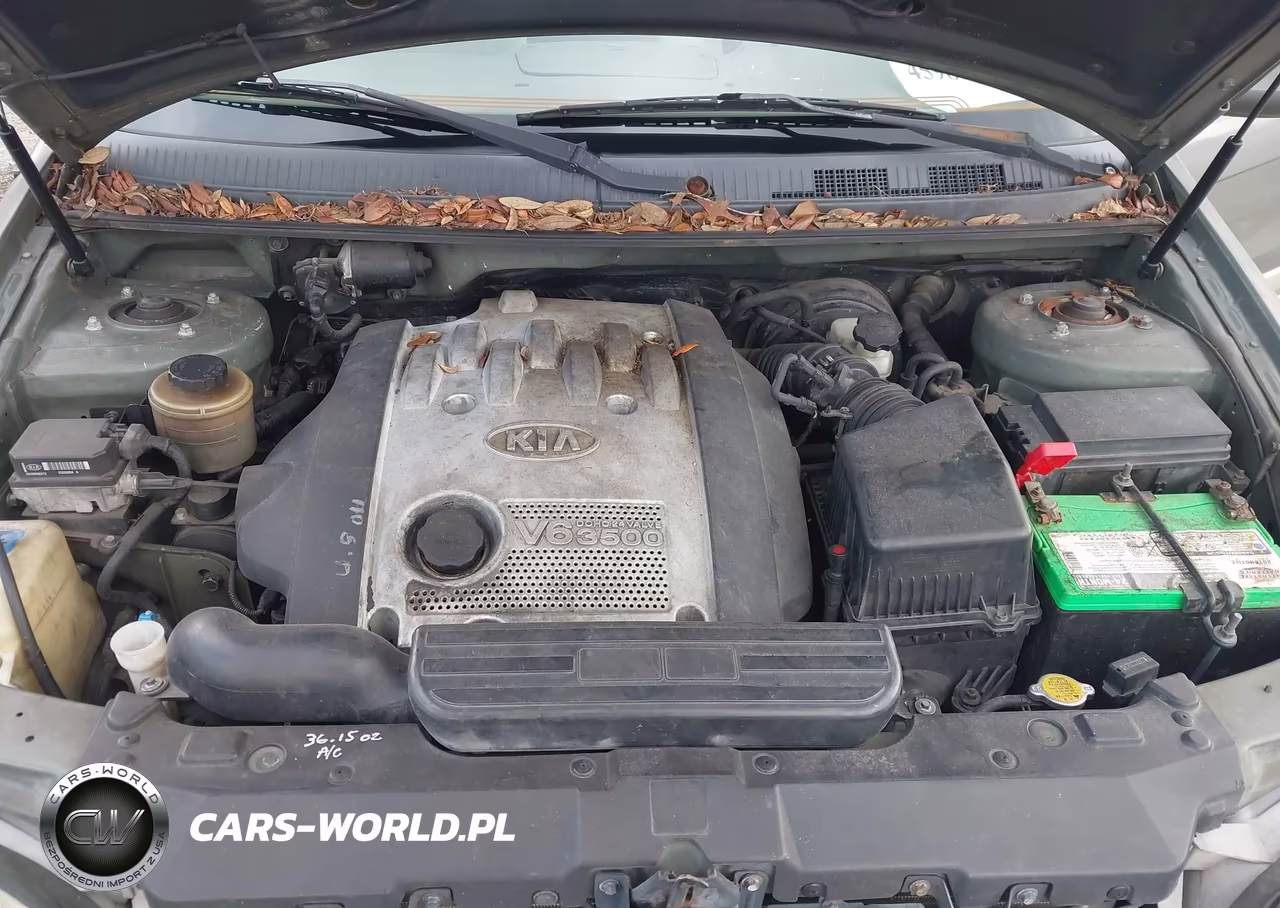 2005 Kia Sedona Ex-Lx VIN:KNDUP131556652768 - 10