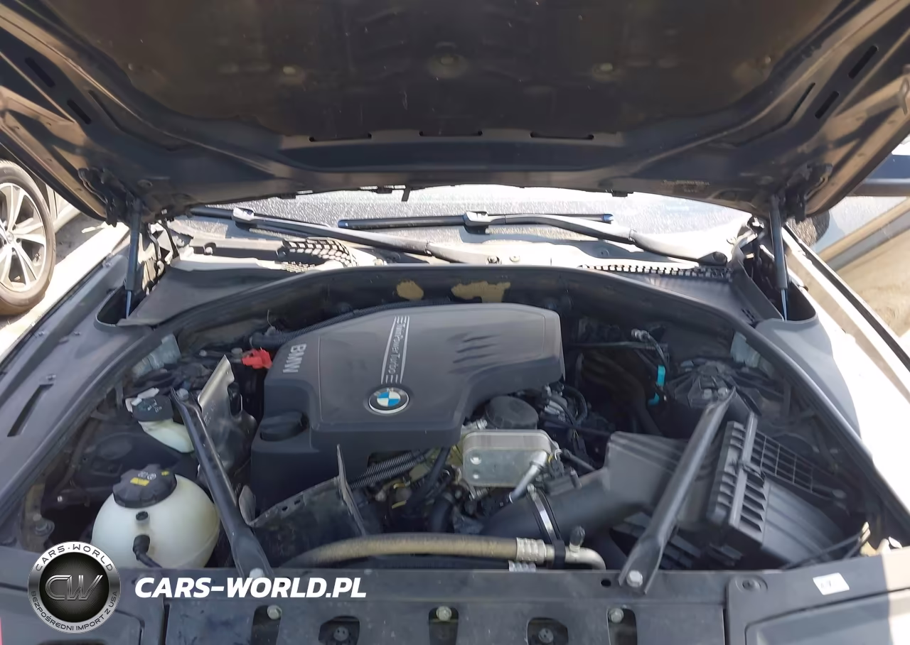 2014 BMW 528I VIN:WBA5A5C55ED510218 - 10