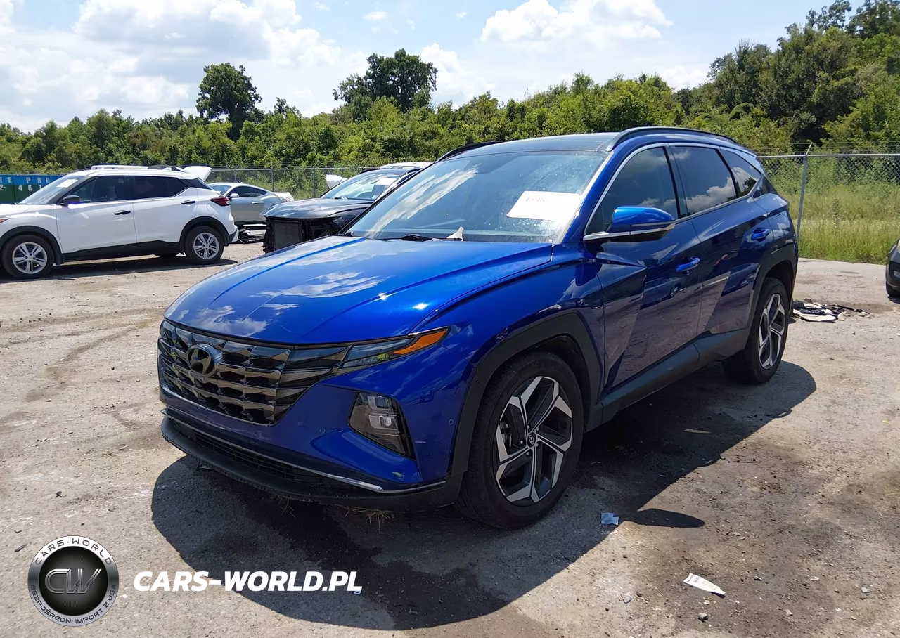 2023 Hyundai Tucson Limited VIN:5NMJECAE7PH216195 - 2