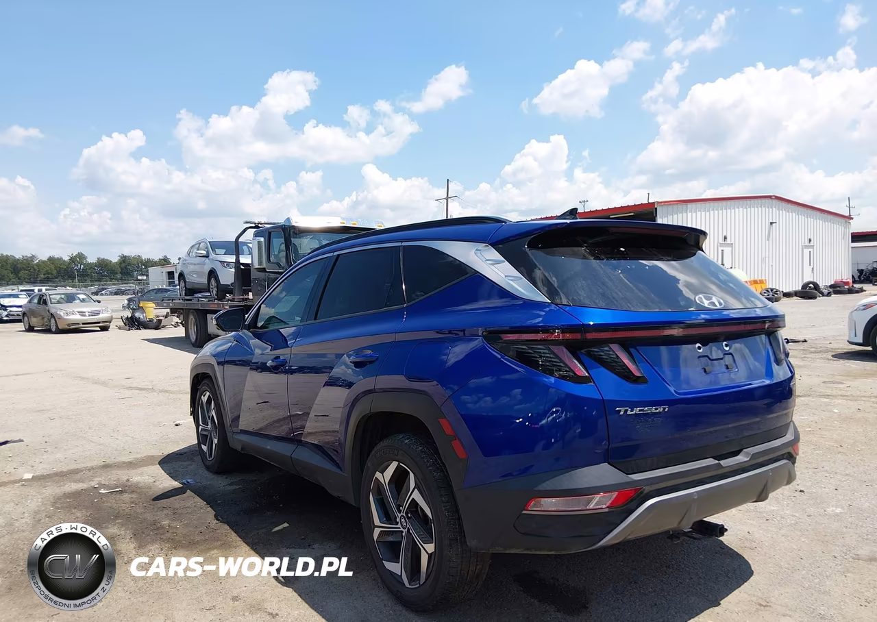 2023 Hyundai Tucson Limited VIN:5NMJECAE7PH216195 - 3