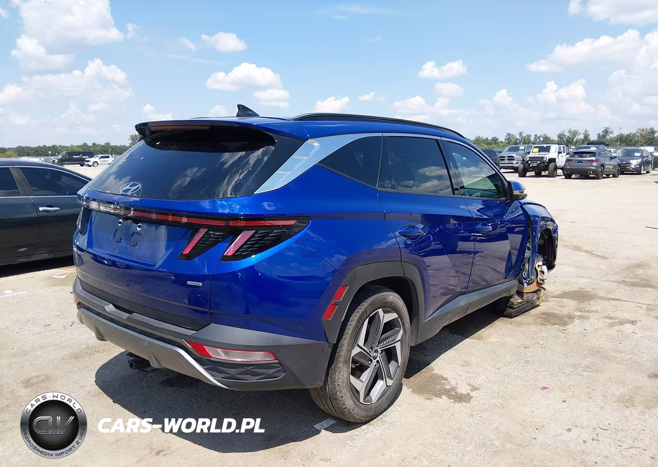 2023 Hyundai Tucson Limited VIN:5NMJECAE7PH216195 - 4