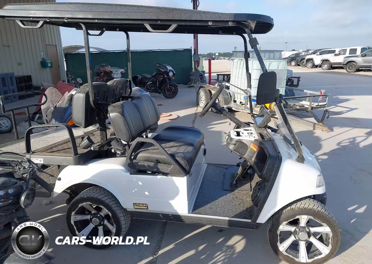 2025 Evolution Golf Cart VIN:000000EVBE0461943 - 13