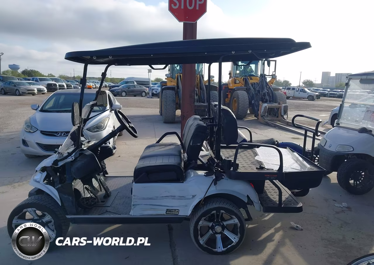 2025 Evolution Golf Cart VIN:000000EVBE0461943 - 14