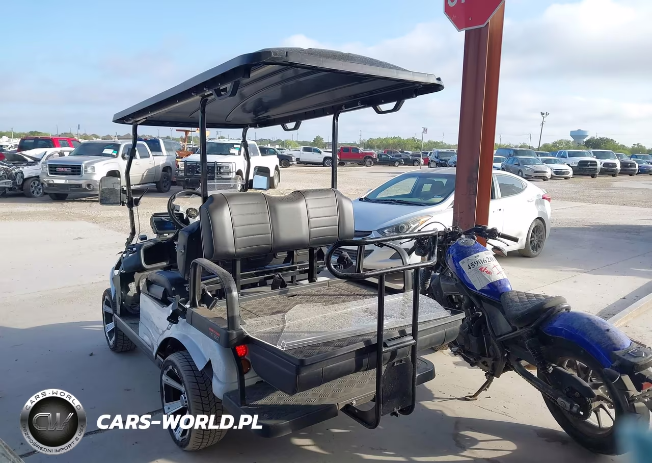 2025 Evolution Golf Cart VIN:000000EVBE0461943 - 3