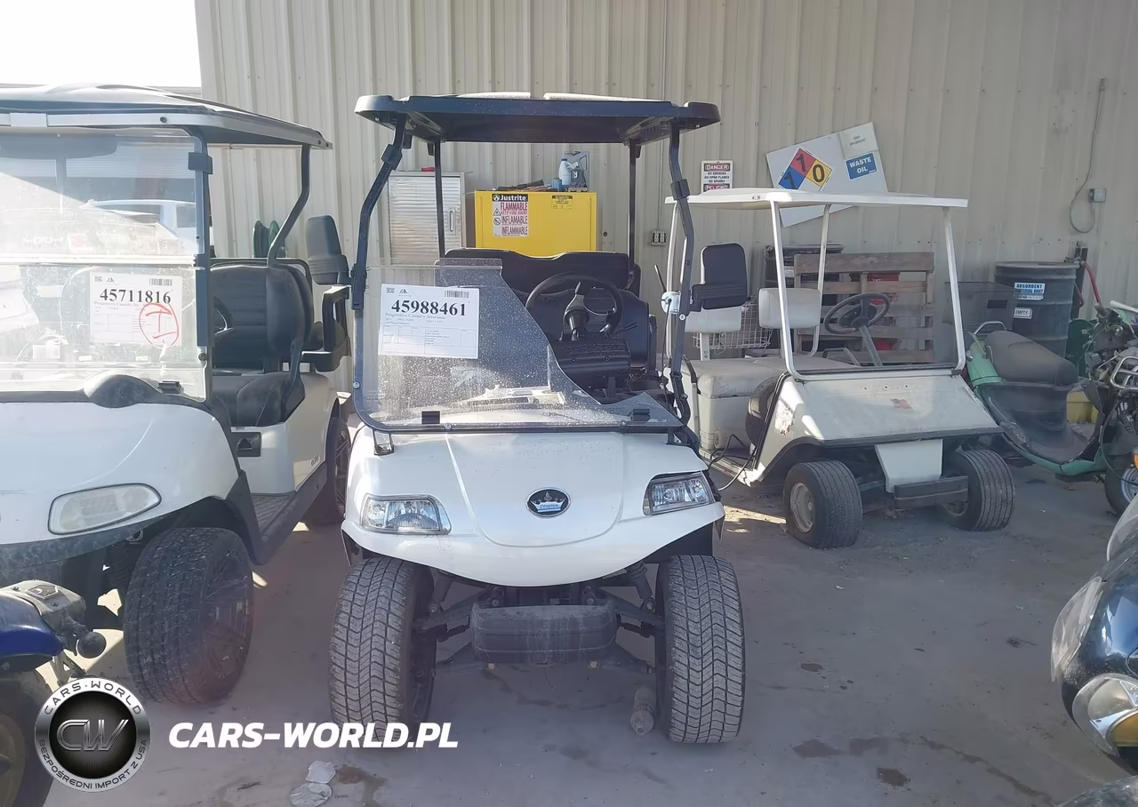2025 Evolution Golf Cart VIN:000000EVBE0461943 - 5
