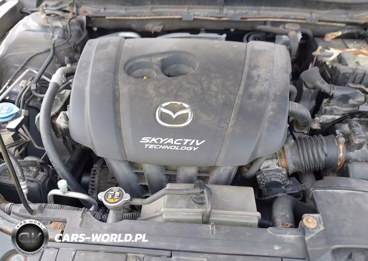 2014 Mazda Mazda3 I Sport VIN:JM1BM1U77E1191749 - 9