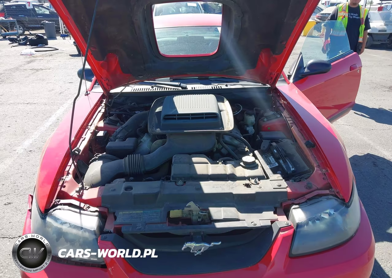 2004 Ford Mustang Mach 1 VIN:1FAFP42R94F139092 - 10