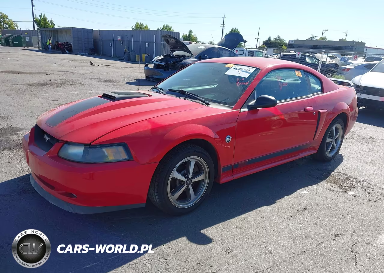 2004 Ford Mustang Mach 1 VIN:1FAFP42R94F139092 - 2