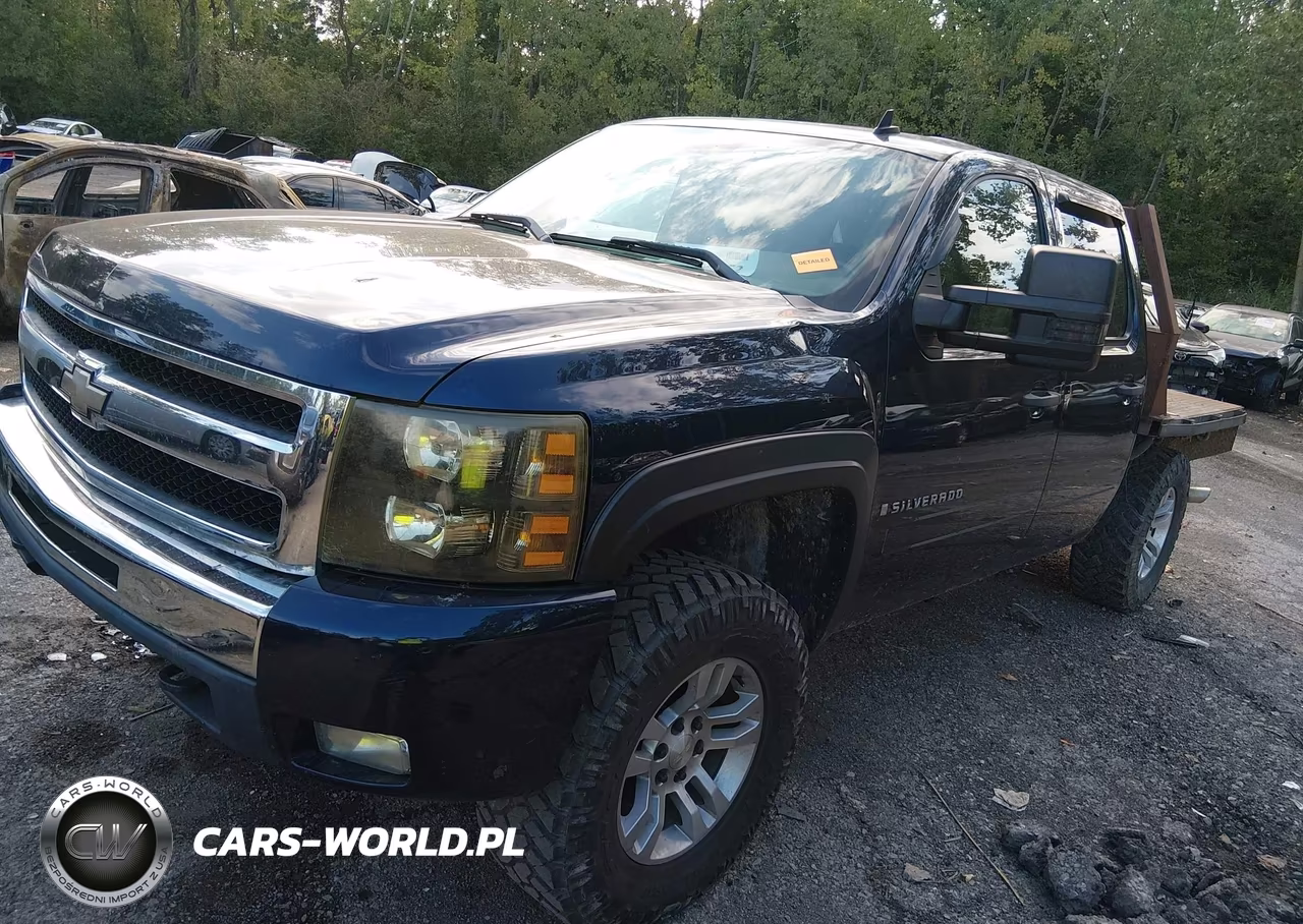 2009 Chevrolet Silverado 1500 Lt VIN:3GCEK23399G132846 - 2