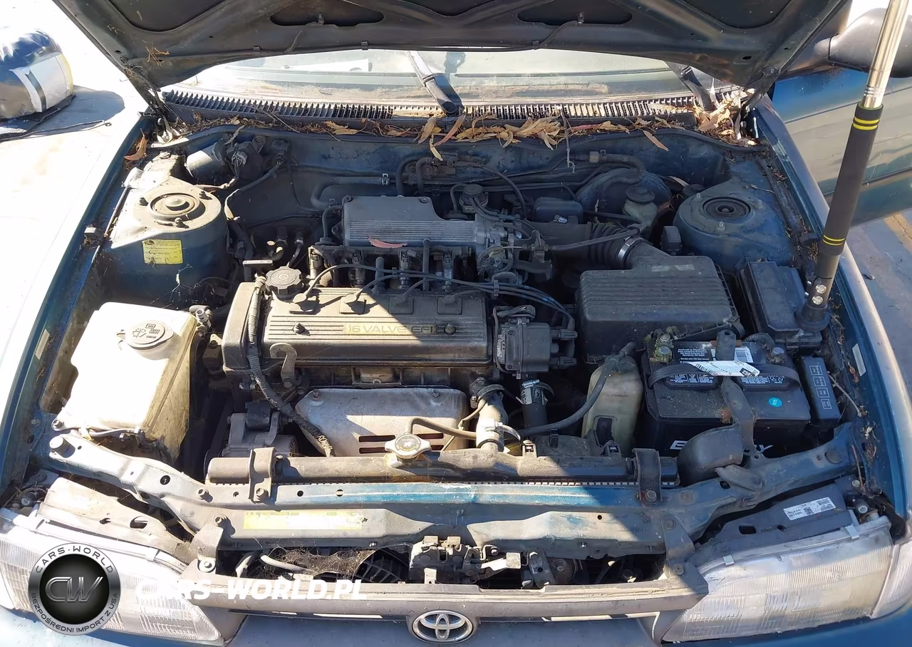 1994 Toyota Corolla Dx VIN:JT2AE09V8R0049666 - 10
