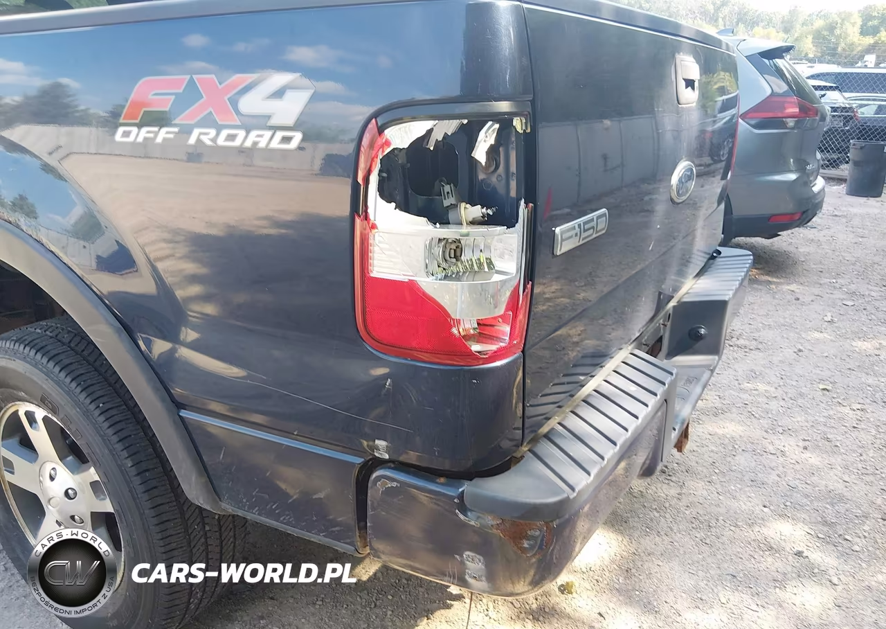 2005 Ford F-150 Fx4-Lariat-Xl-Xlt VIN:1FTPX145X5FA66565 - 6