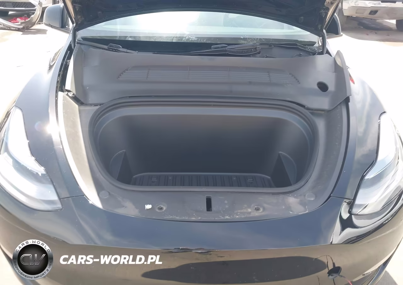 2025 Tesla Model Y Long Range Dual Motor All-Wheel Drive VIN:7SAYGAEE4SF311365 - 10