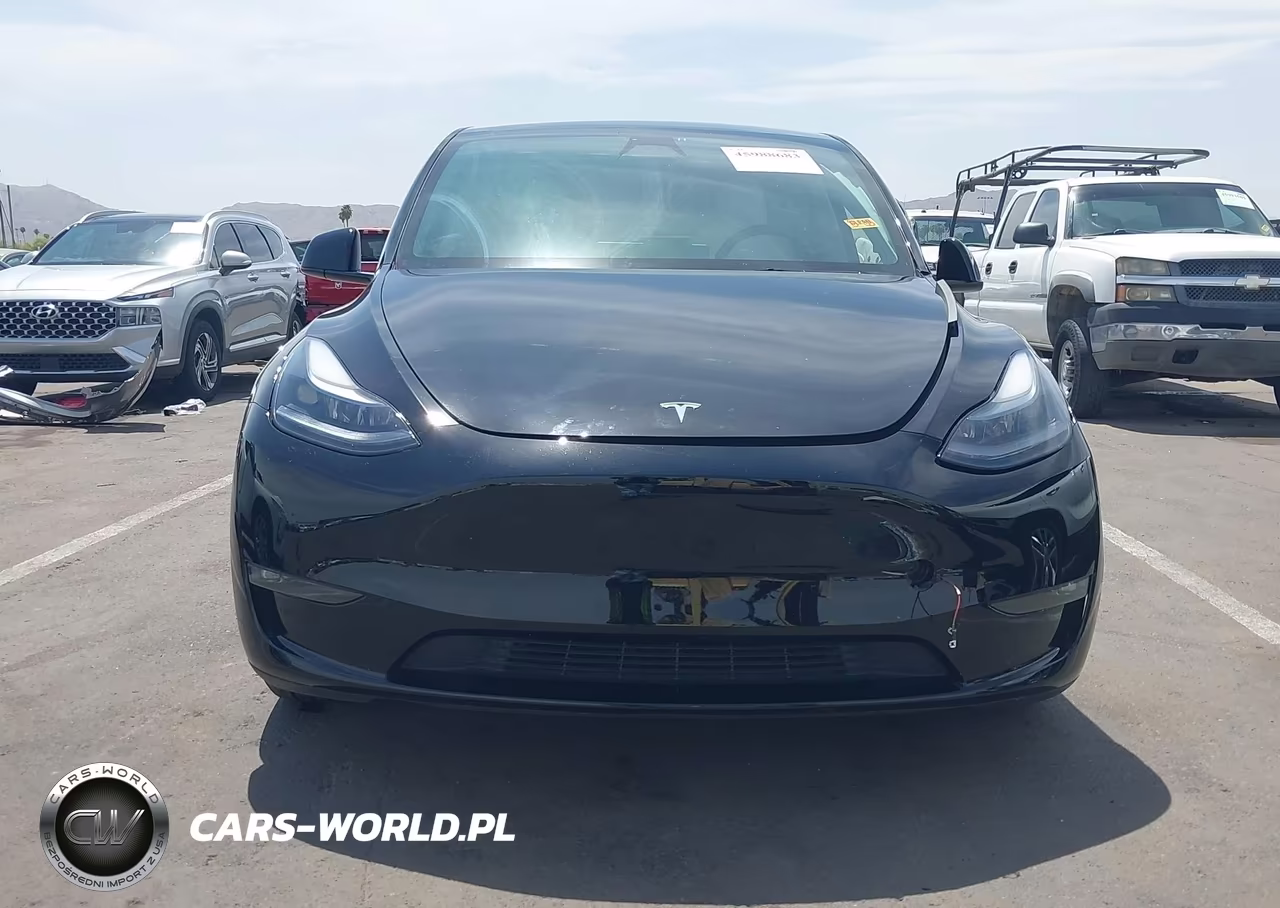 2025 Tesla Model Y Long Range Dual Motor All-Wheel Drive VIN:7SAYGAEE4SF311365 - 12