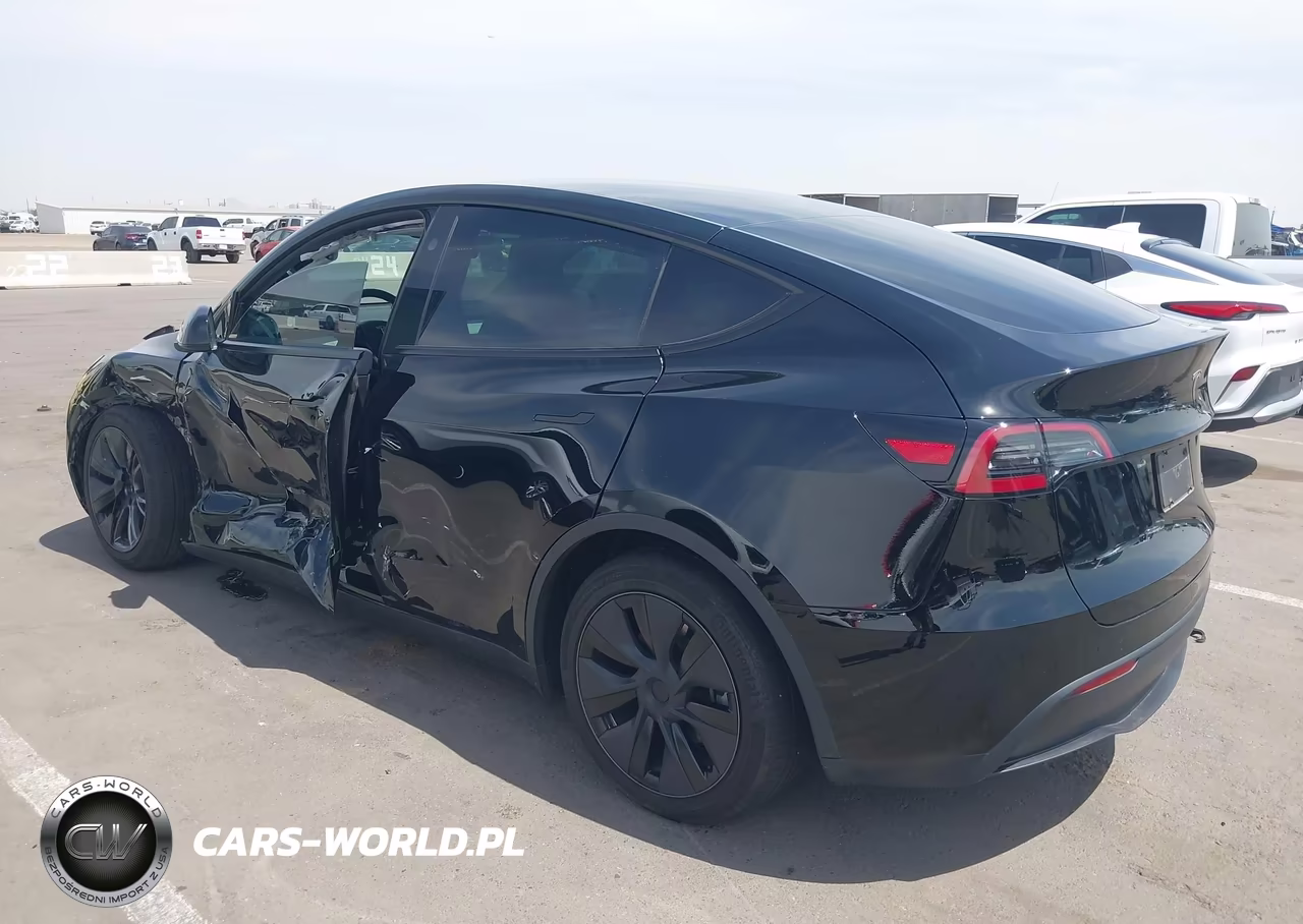 2025 Tesla Model Y Long Range Dual Motor All-Wheel Drive VIN:7SAYGAEE4SF311365 - 3