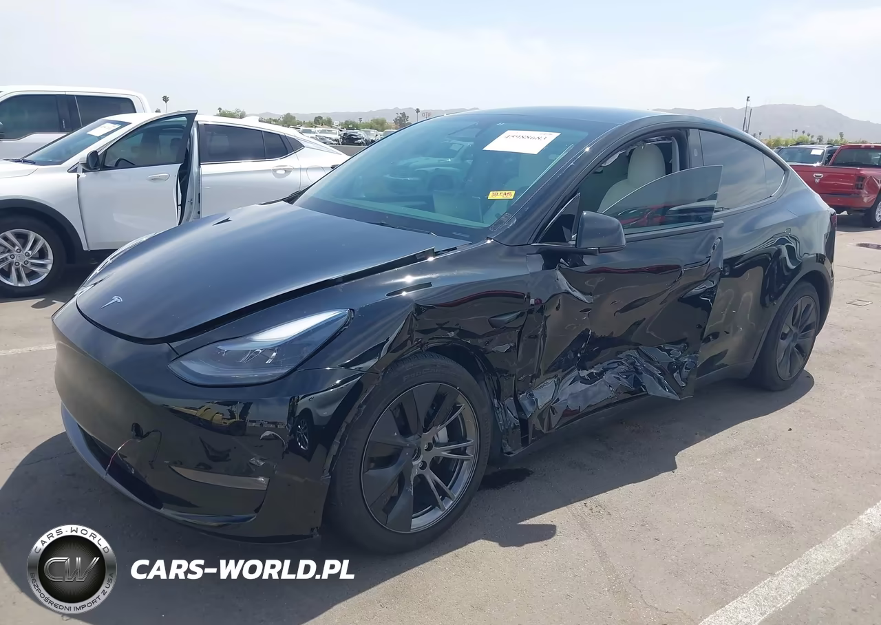 2025 Tesla Model Y Long Range Dual Motor All-Wheel Drive VIN:7SAYGAEE4SF311365 - 6