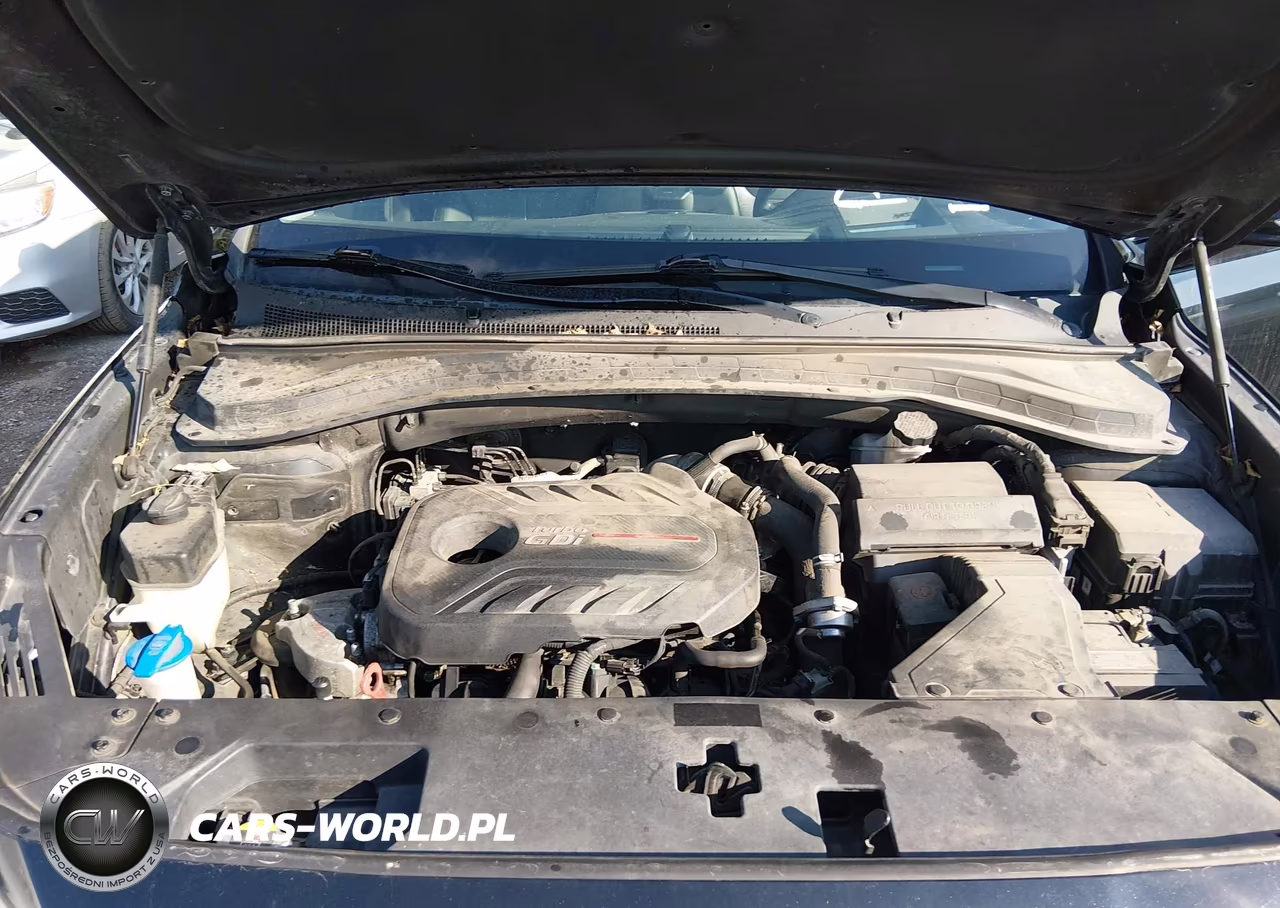 2019 Hyundai Santa Fe Ultimate 2.0T VIN:5NMS53AA5KH031024 - 10