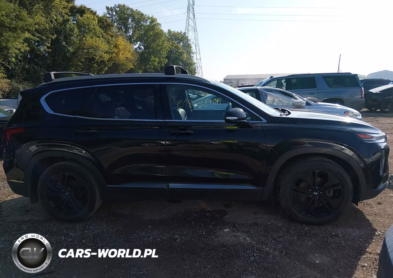 2019 Hyundai Santa Fe Ultimate 2.0T VIN:5NMS53AA5KH031024 - 13
