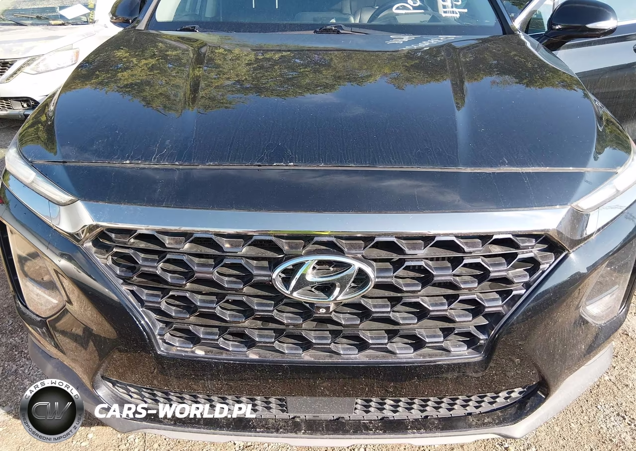 2019 Hyundai Santa Fe Ultimate 2.0T VIN:5NMS53AA5KH031024 - 6