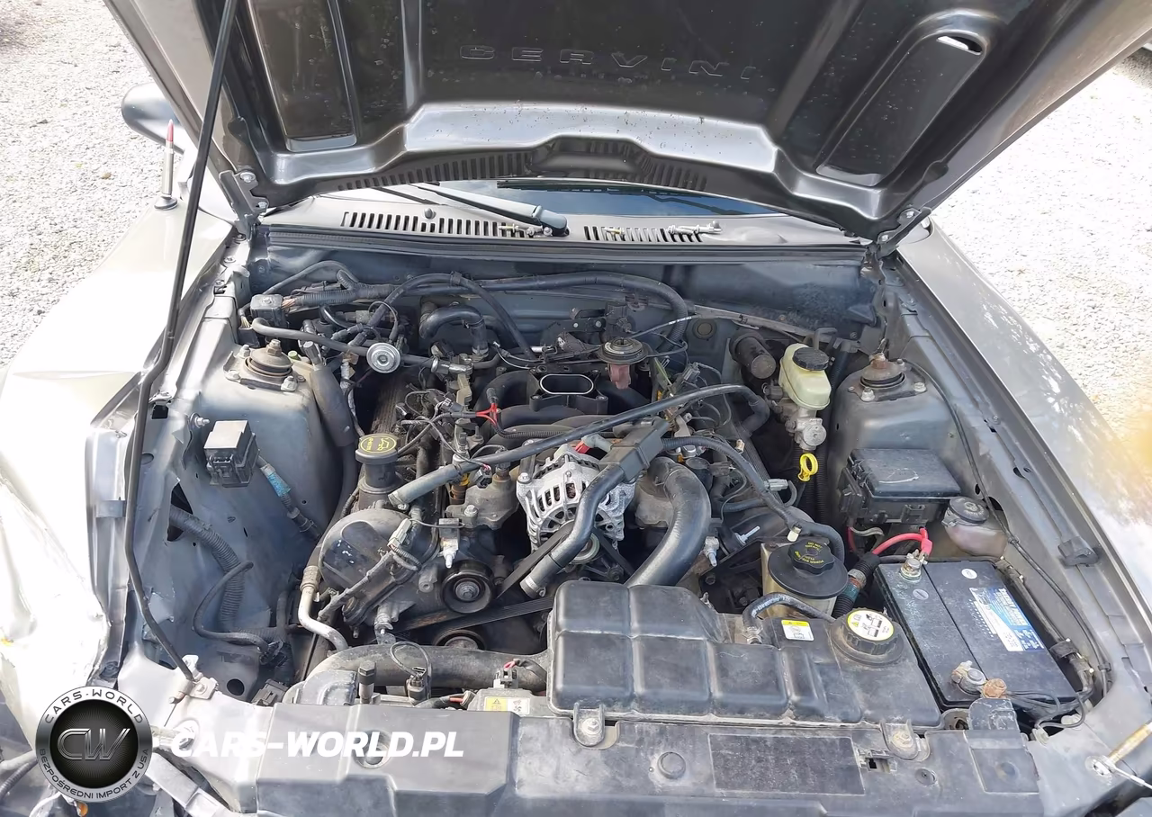2002 Ford Mustang Gt VIN:1FAFP45X92F200304 - 10