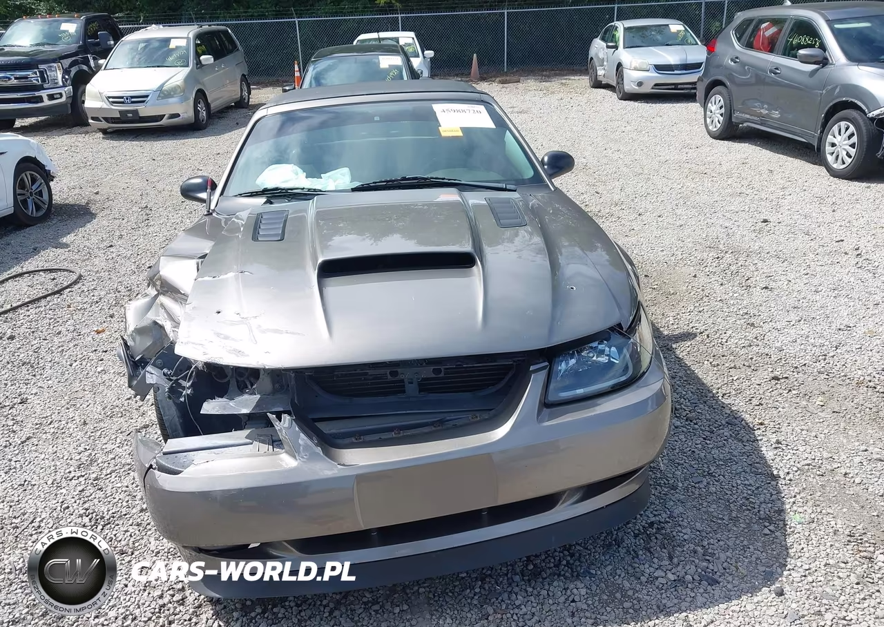 2002 Ford Mustang Gt VIN:1FAFP45X92F200304 - 12