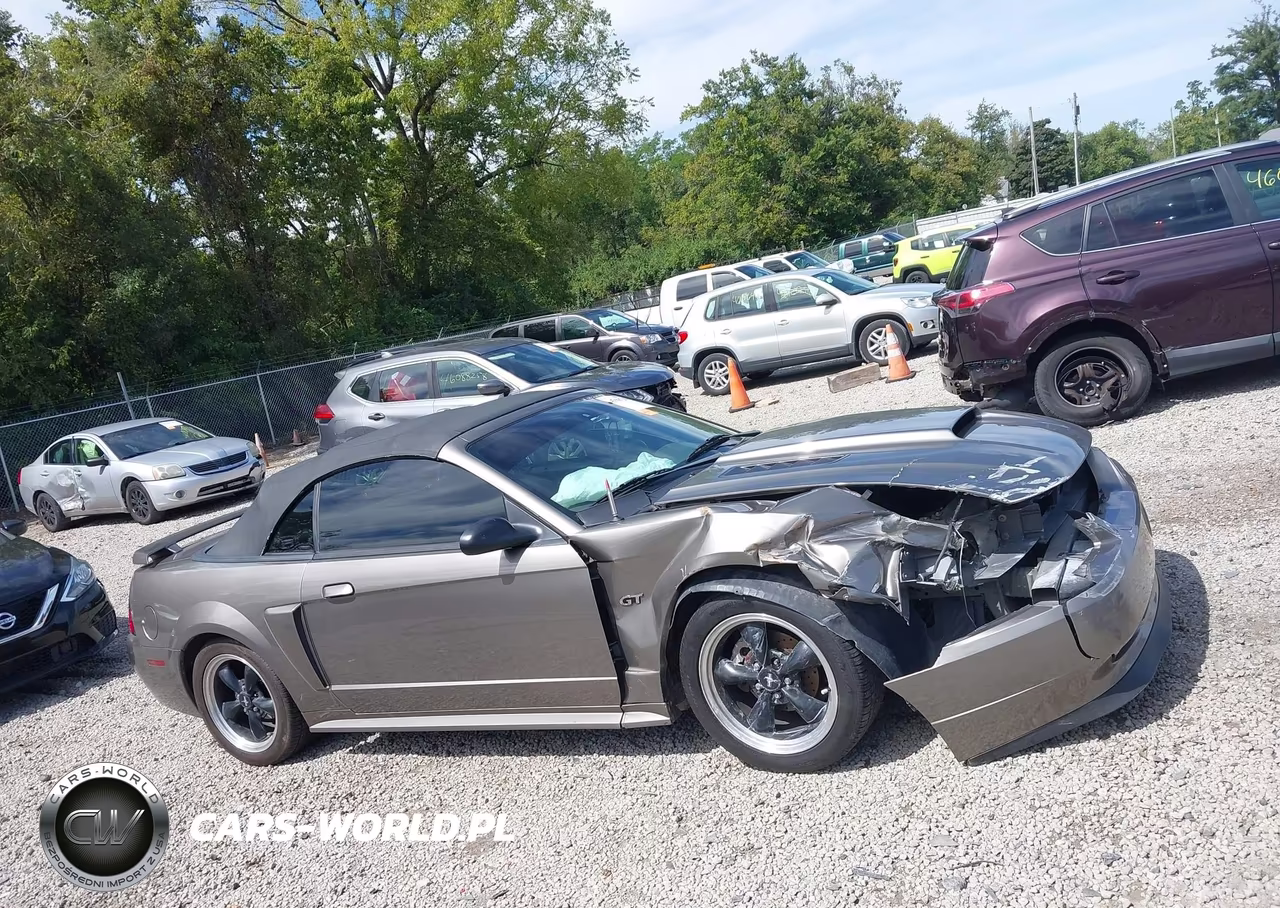2002 Ford Mustang Gt VIN:1FAFP45X92F200304 - 13