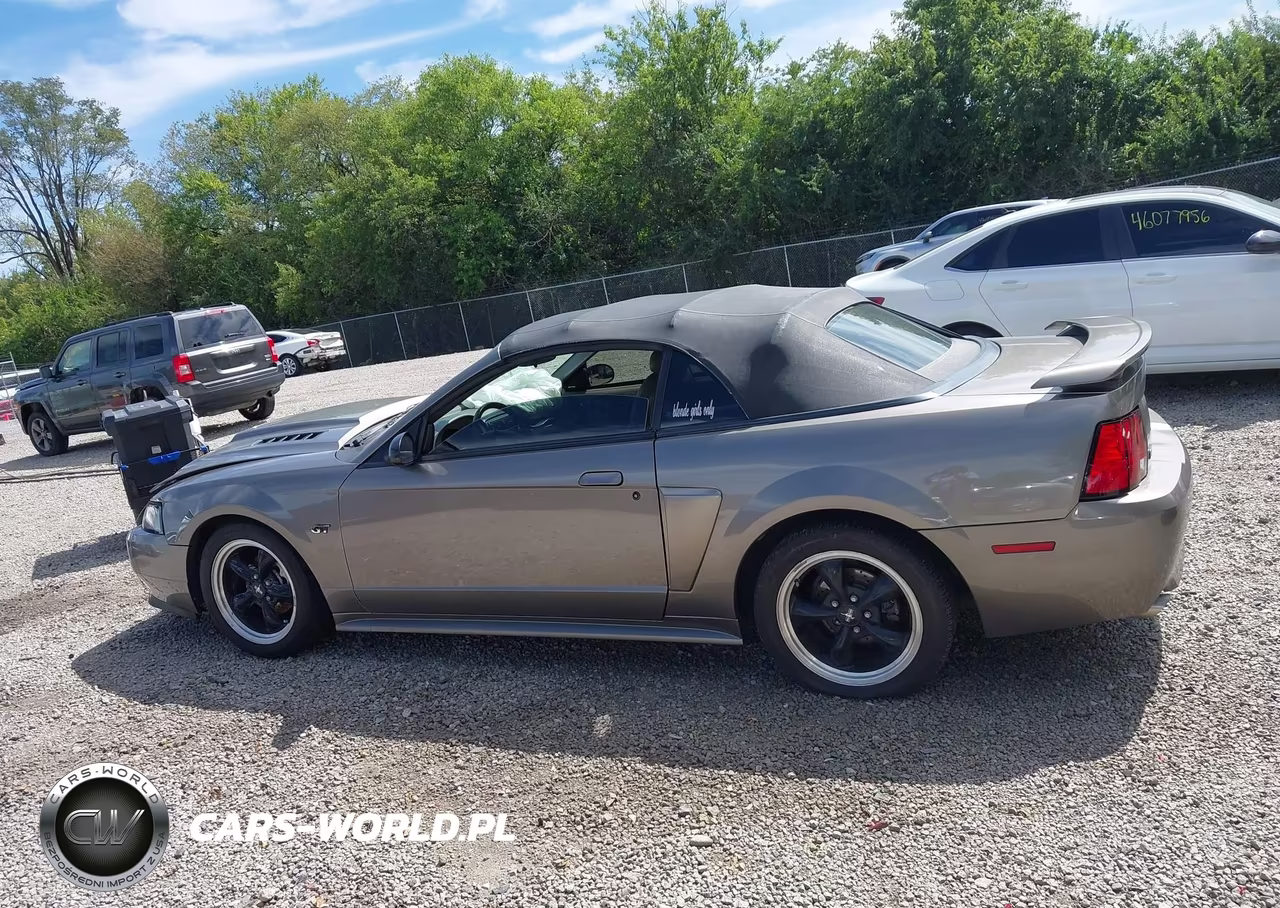 2002 Ford Mustang Gt VIN:1FAFP45X92F200304 - 14