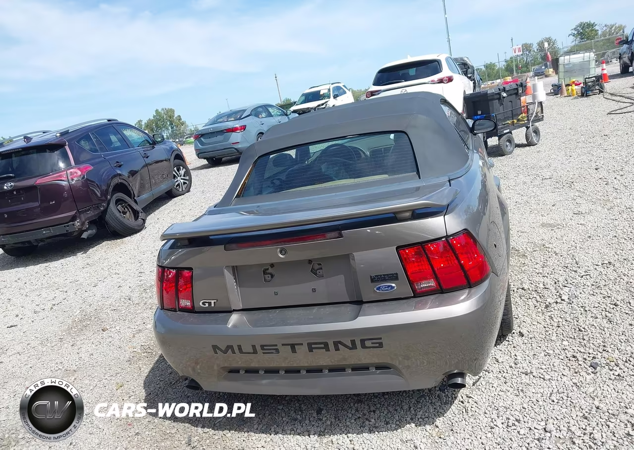 2002 Ford Mustang Gt VIN:1FAFP45X92F200304 - 16