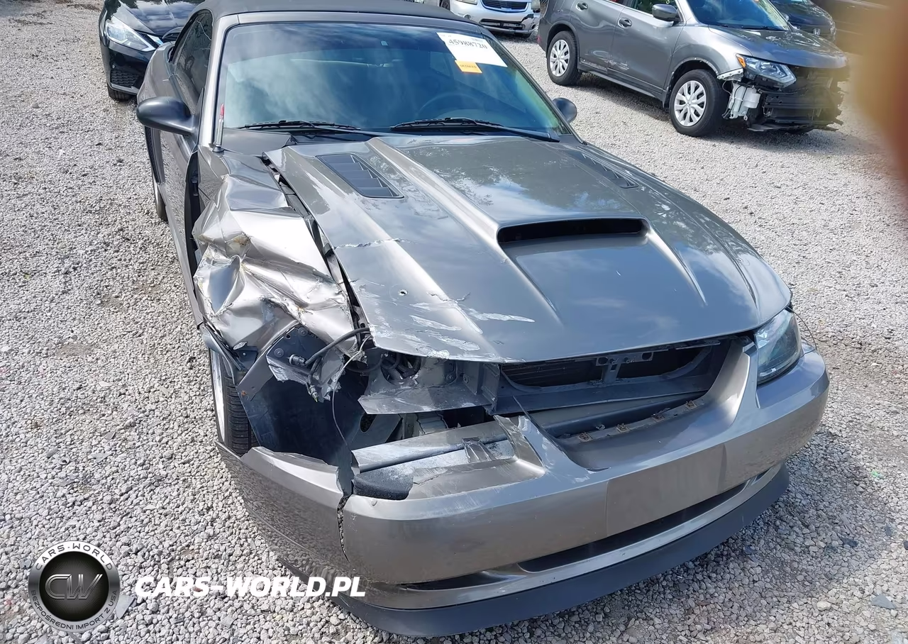 2002 Ford Mustang Gt VIN:1FAFP45X92F200304 - 17