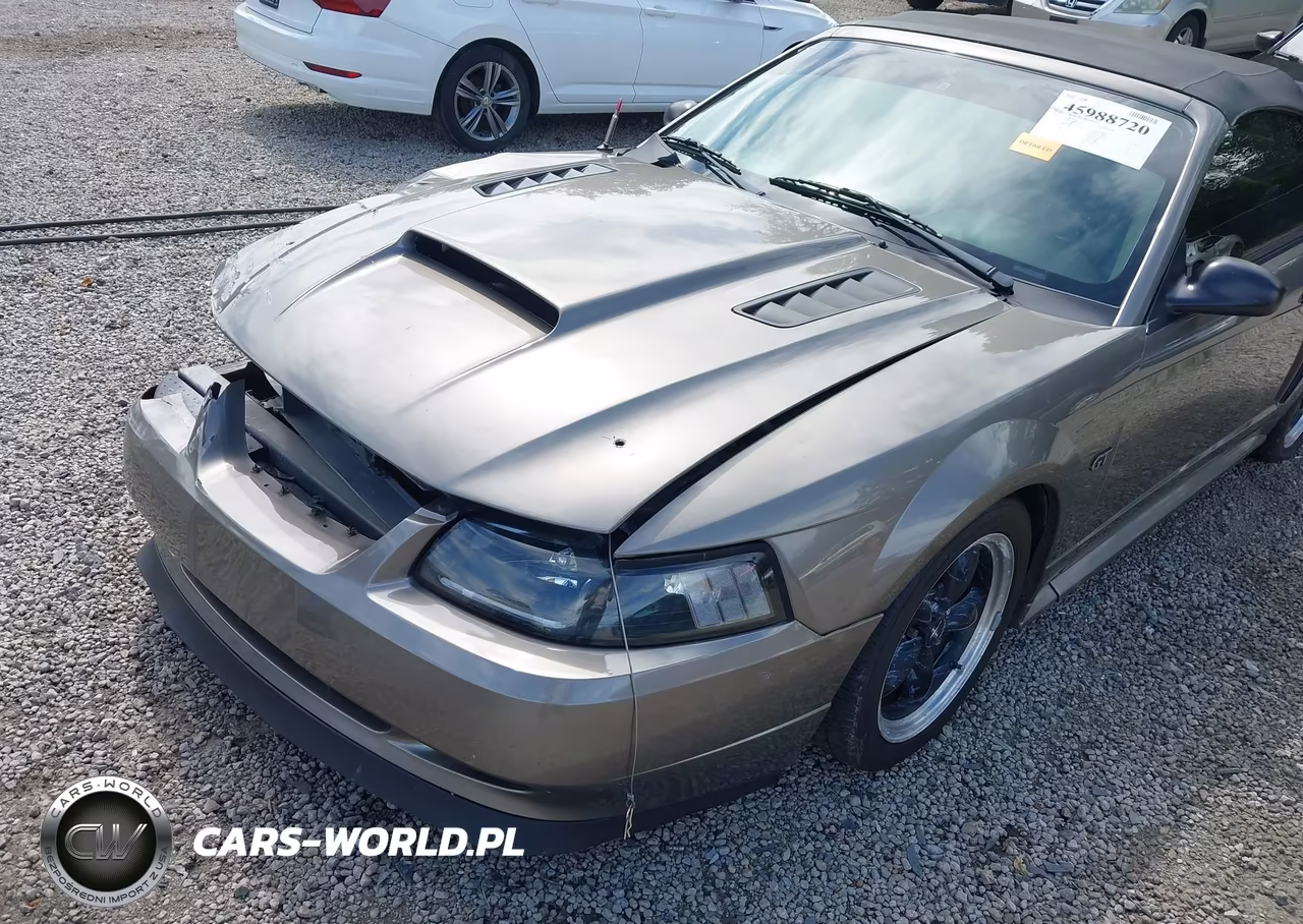 2002 Ford Mustang Gt VIN:1FAFP45X92F200304 - 18