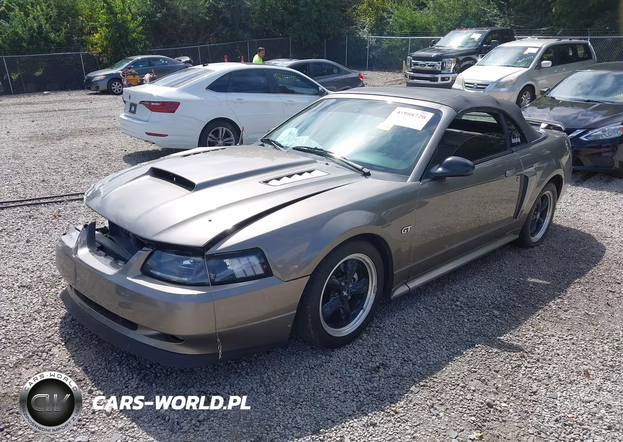 2002 Ford Mustang Gt VIN:1FAFP45X92F200304 - 2