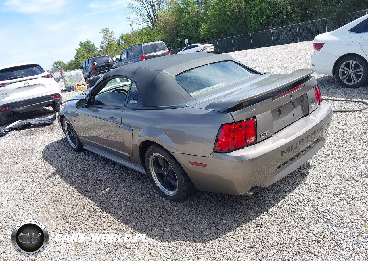 2002 Ford Mustang Gt VIN:1FAFP45X92F200304 - 3