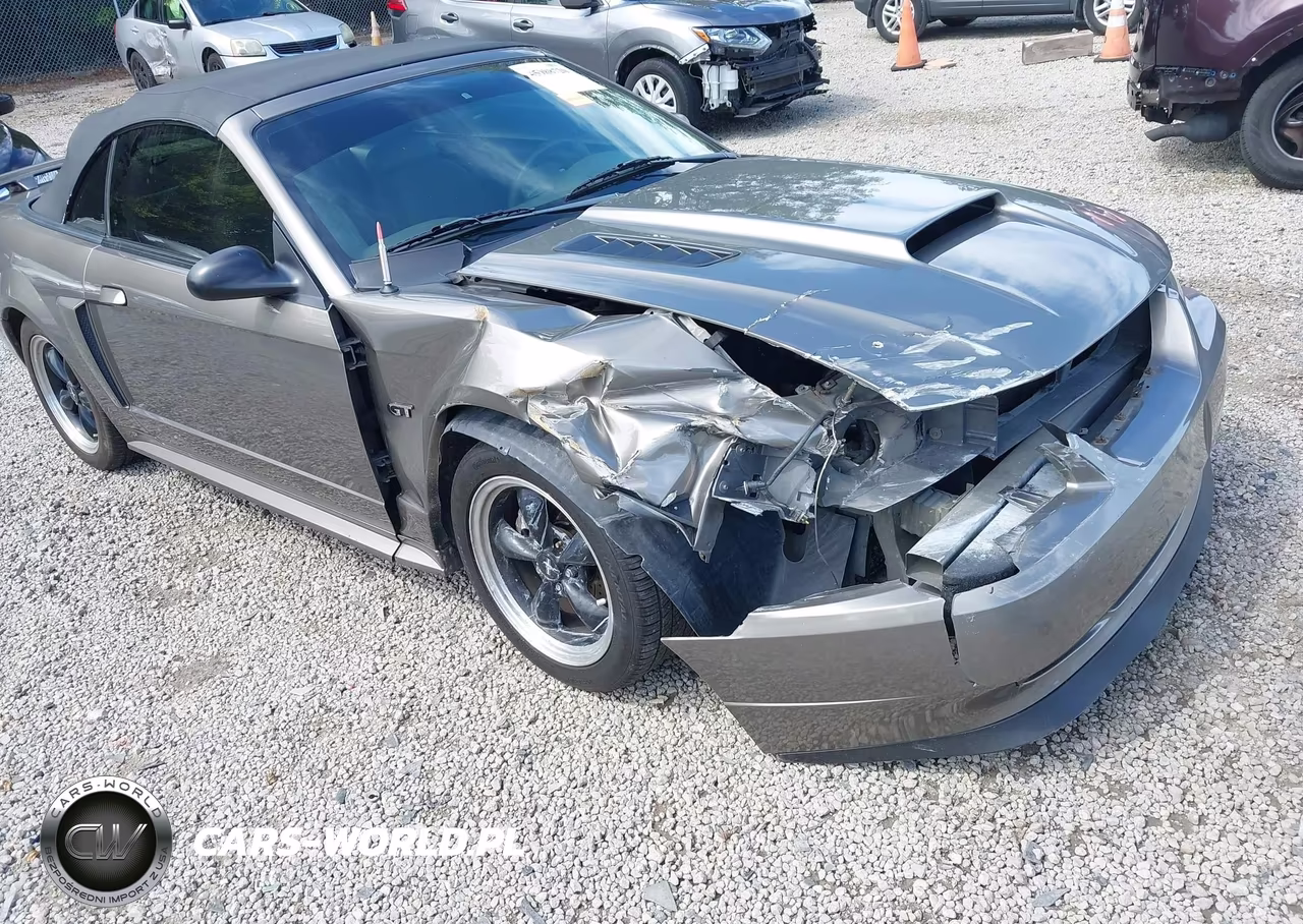 2002 Ford Mustang Gt VIN:1FAFP45X92F200304 - 6
