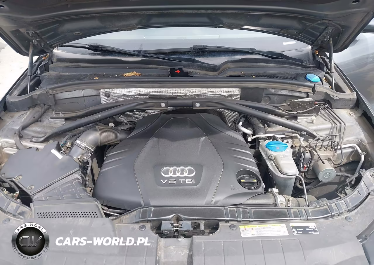 2015 Audi Q5 3.0 Tdi Premium Plus VIN:WA1CMAFP2FA058829 - 10