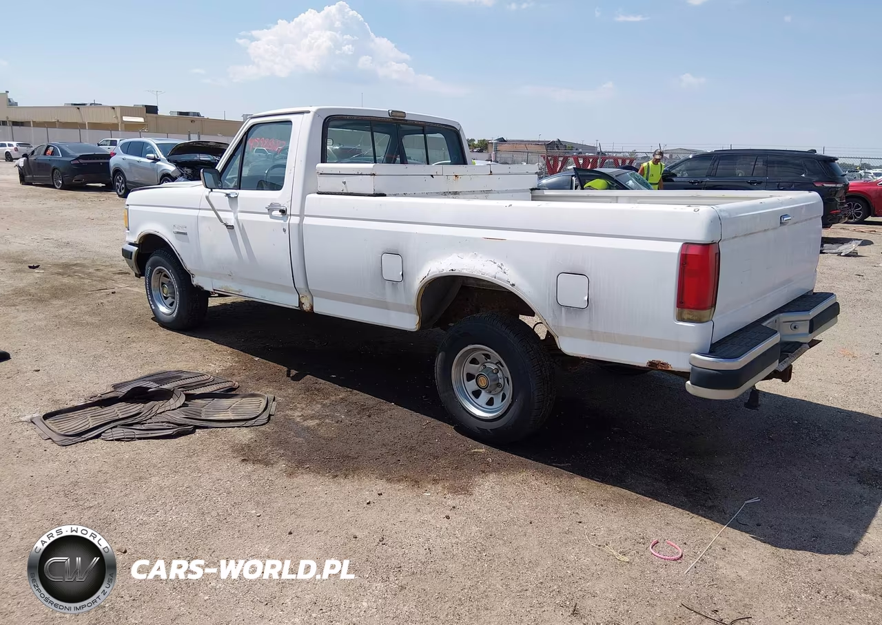 1989 Ford F150 VIN:1FTEF15N7KLA99237 - 3