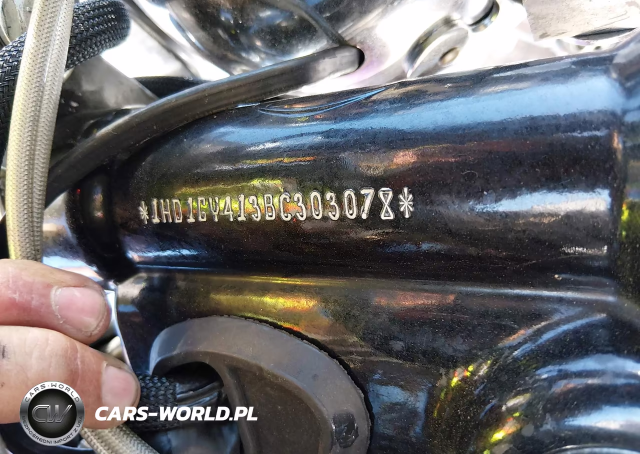 2011 Harley-Davidson Fxdf VIN:1HD1GY413BC303078 - 10