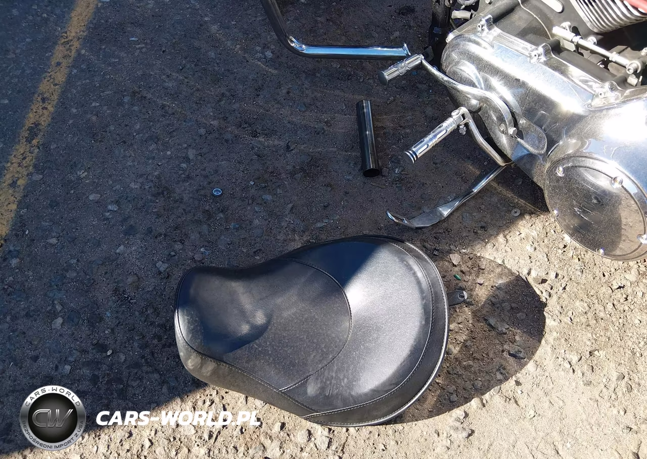 2011 Harley-Davidson Fxdf VIN:1HD1GY413BC303078 - 12