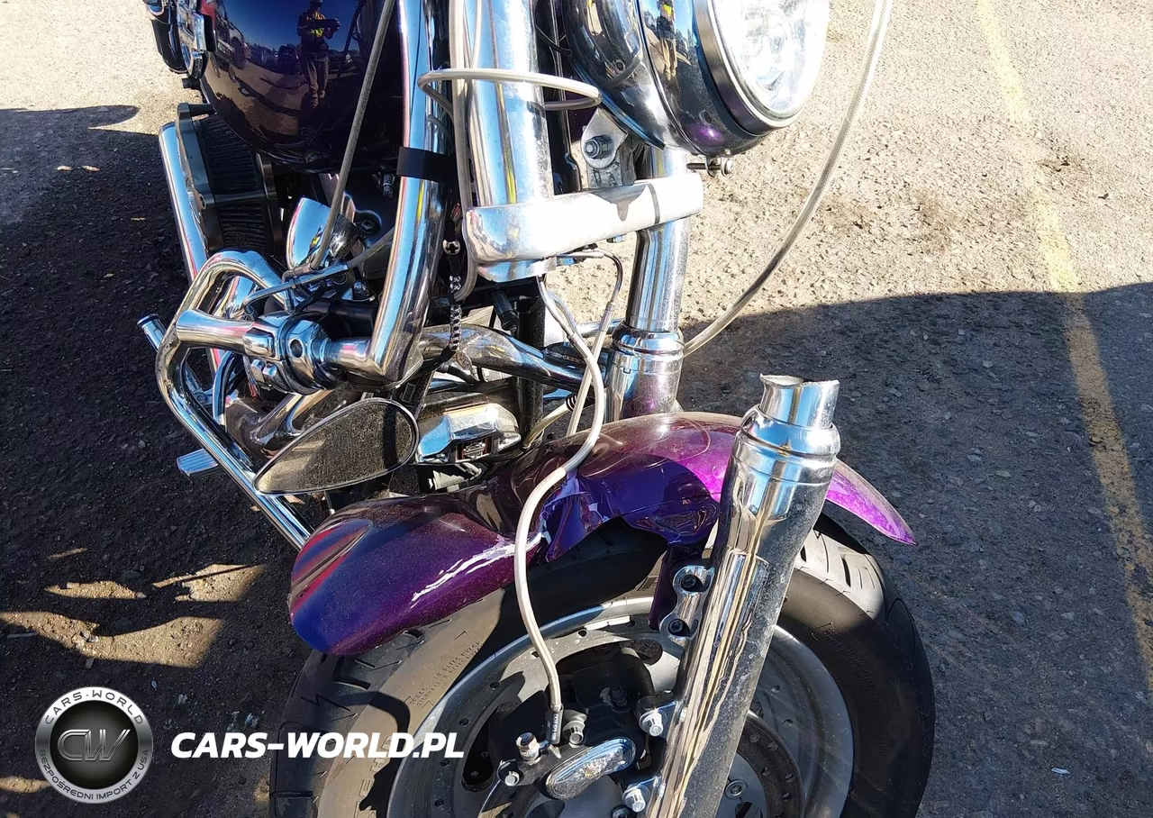 2011 Harley-Davidson Fxdf VIN:1HD1GY413BC303078 - 16