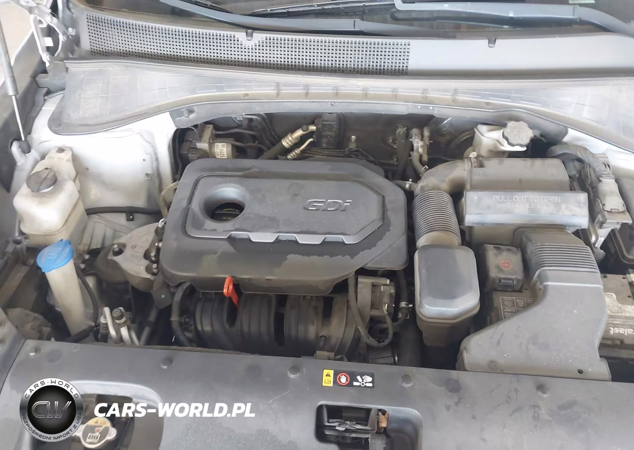 2019 Kia Sorento 2.4L L VIN:5XYPG4A36KG559222 - 6