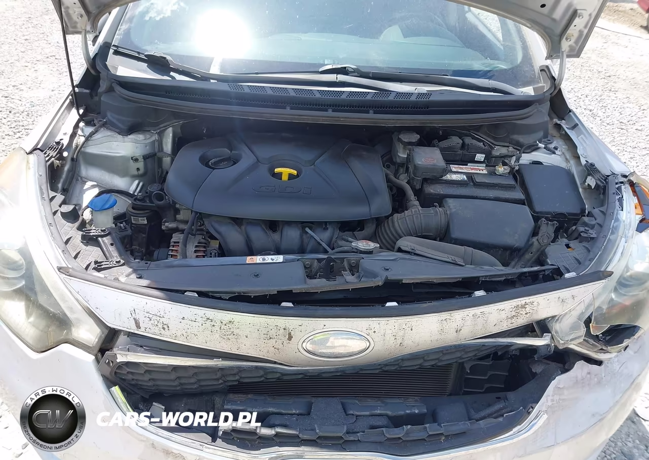 2014 Kia Forte Ex VIN:KNAFX5A89E5168010 - 10