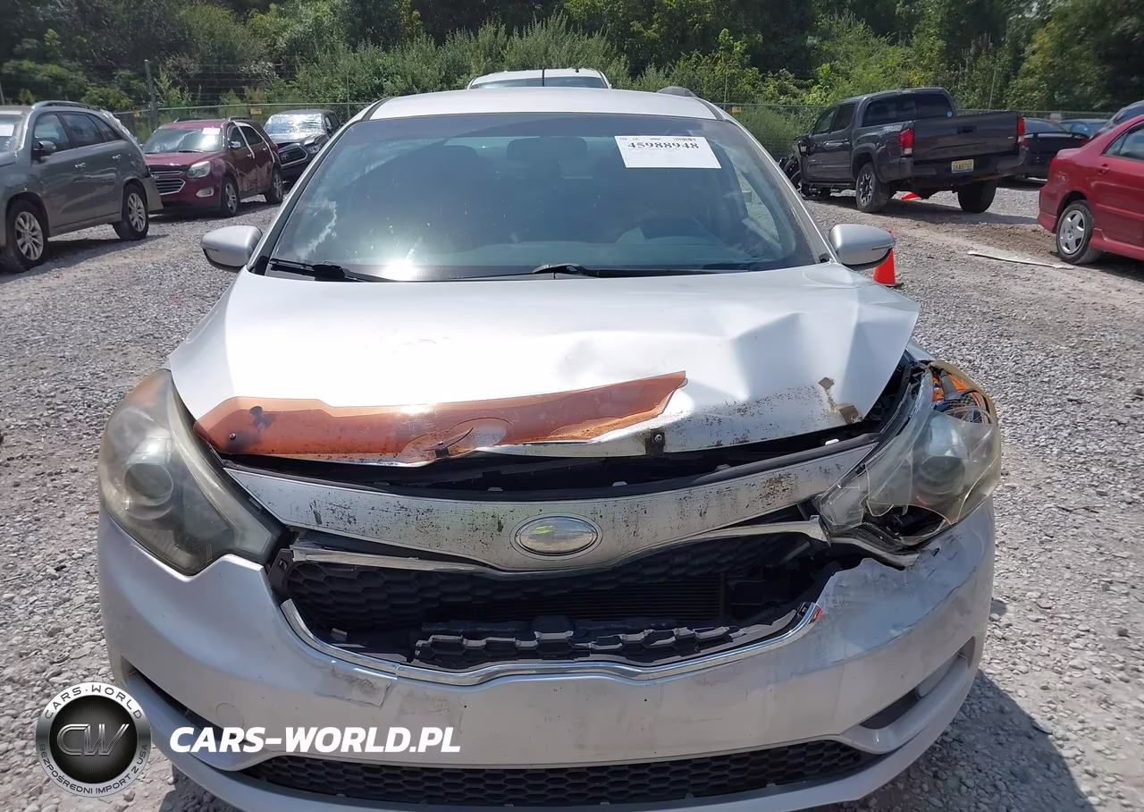 2014 Kia Forte Ex VIN:KNAFX5A89E5168010 - 12