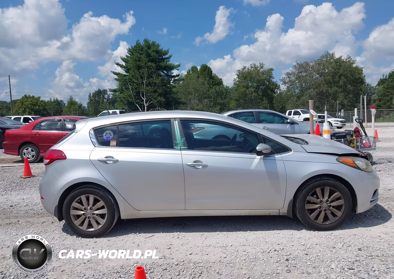2014 Kia Forte Ex VIN:KNAFX5A89E5168010 - 13