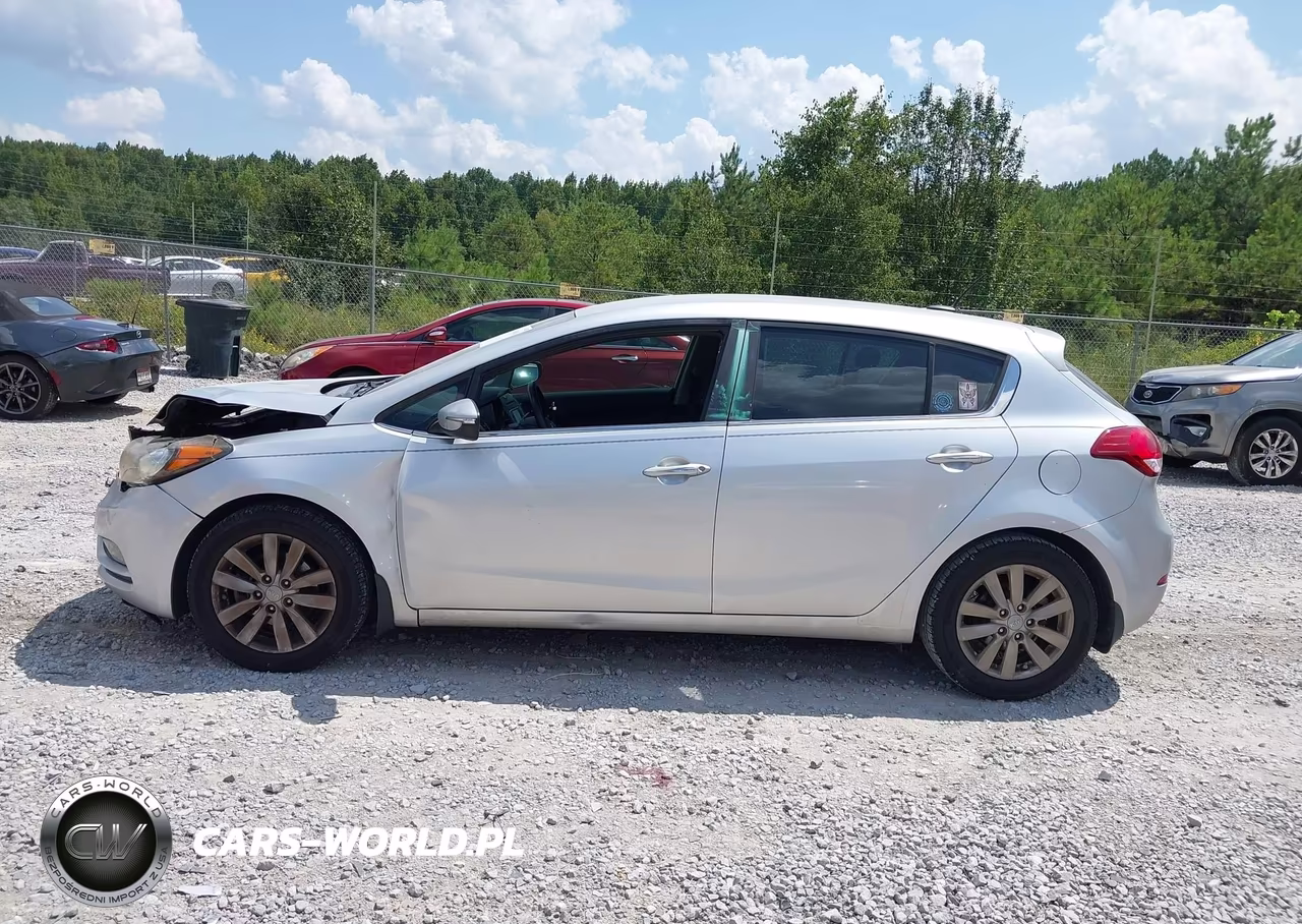 2014 Kia Forte Ex VIN:KNAFX5A89E5168010 - 14
