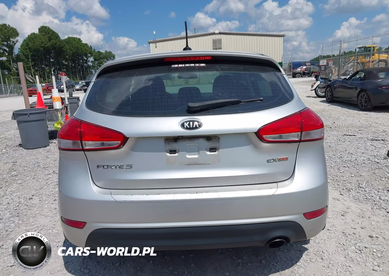 2014 Kia Forte Ex VIN:KNAFX5A89E5168010 - 16