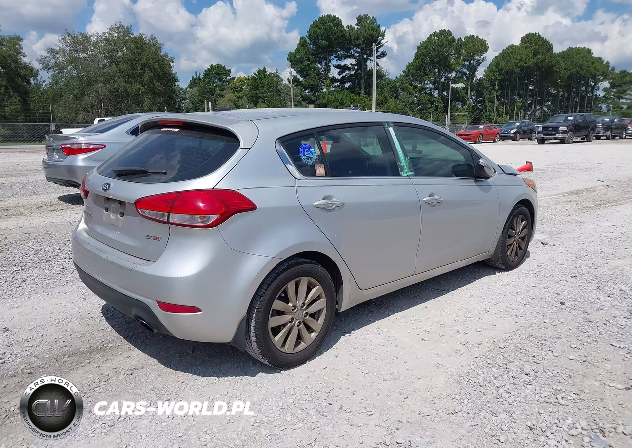 2014 Kia Forte Ex VIN:KNAFX5A89E5168010 - 4