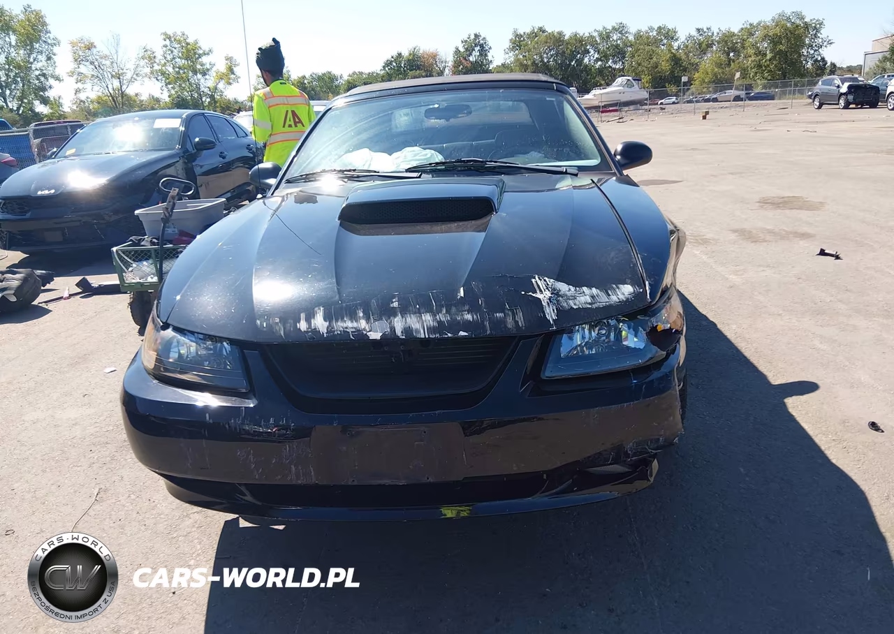 2002 Ford Mustang VIN:1FAFP45X82F211312 - 12